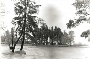 Seifhennersdorf. Silberteich gegen Silberteichbaude
