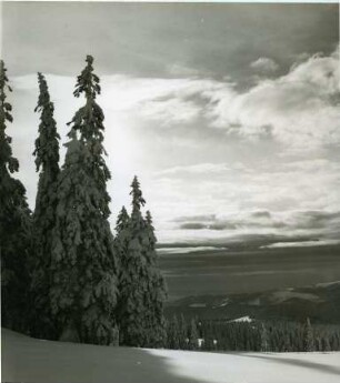 am Feldberg