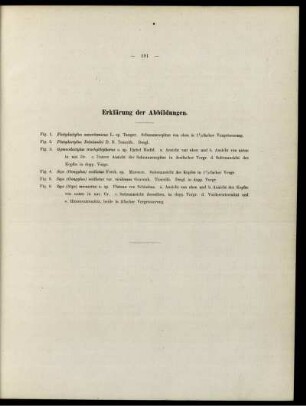 Erklärung der Abbildungen.