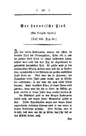 ¬Der¬ havanische Fink : (Lat. Fringilla lepida) ; Taf. XIII, Fig. 60
