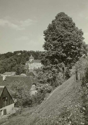 Schloss Kuckuckstein