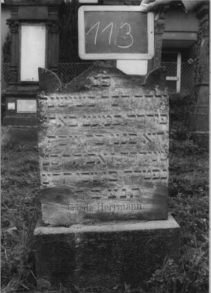 Grabstein 113 (Index: 100081341) Zustand: noch stehend Maße HxBxT: 85x46x10 cm: Grabstein 113