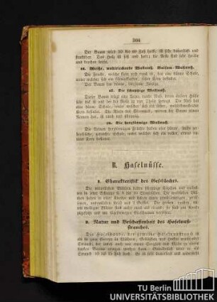 B. Haselnüsse.