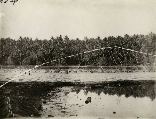 "Fischfang im Binnensee von Nauru"