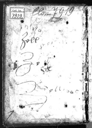 Graduale Cistertiense - BSB Clm 7919