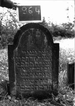 Grabstein 964 (Index: 100103885) Material: Sandstein Zustand: stellenweise angewittert, sonst gut erhalten Maße HxBxT: 86x50x8 cm Beschreibung: Stele, eingezogener Rundbogenabschluss, Schriftfeld eingetieft mit Konvexbogenabschluss, ein Buchstabe über den Rahmen geschrieben: Grabstein 964