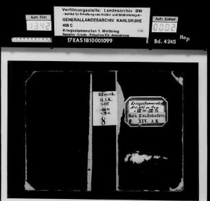 Reserve-Ersatz-Eskadron XIV. Armeekorps