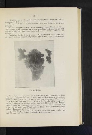 Fig. 45 (Nr. 31).