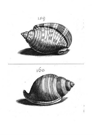 159. - 160.