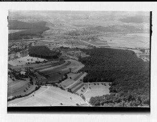 Palzem (Mosel)