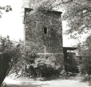 Stadtmauer : Freiberg. Stadtmauer