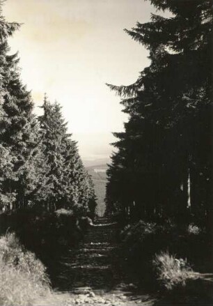 Westerzgebirge. Fichtelberg, Himmelsleiter