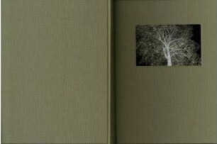 Fotobuch "And the trees, they do grow higher" (T. Borchardt)