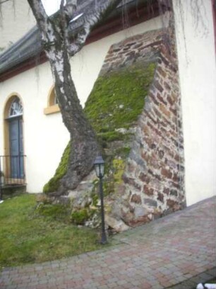 Langhaus von Nordwesten-Strebepfeiler (Gotisch) am nördlichen Seitenschiff mit aus dem Mauerwerk wachsendem und in demselben wurzelndem Baum