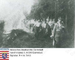 Hessen-Nassau (Gau), 1936 / Bekämpfung des Borkenkäfers, SA Männer beim Einsatz im Wald / Gruppenaufnahme