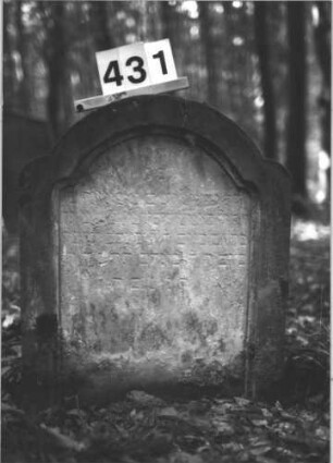 Grabstein 431 (Index: 99898241) Material: Sandstein Zustand: fast völlig verwittert Maße HxBxT: 66x54x12 cm Beschreibung: Stele mit eingezogenem Rundbogenabschluss mit abgerundeten Ecken und profiliertem Rahmen Besonderheit: vermutete Identifizierung nach Gräberverzeichnis; - Kindergrab: Grabstein 431