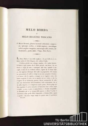 Melo Borda o Melo Ruggine Toscana