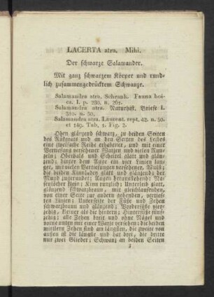 LACERTA atra. Mihi. Der schwarze Salamander.