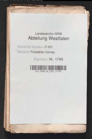 Familie Gronefeld gegen die corveysche Lehnkammer wegen der Lehngüter zu Hembsen, Beller, Erkeln, Beverungen, Godelheim und Ottbergen
