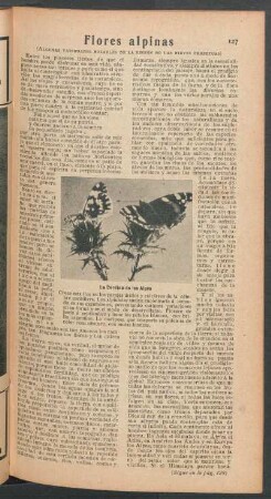 Flores alpinas : (Algunas variedades notables de la región de las nieves perpetuas)