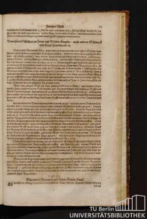Cap. III. Eine andere Triumph und Feuer-Regen-Kugel.