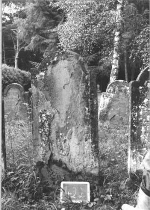 Grabstein 422 (Index: 99895192) Material: Sandstein Zustand: völlig abgeblättert Maße HxBxT: 138x58x10 cm Beschreibung: Stele mit eingezogenem Rundbogenabschluss: Grabstein 422