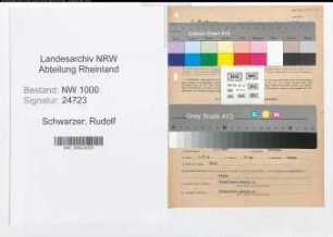 Entnazifizierung Rudolf Schwarzer, geb. 03.07.1893 (Landesinspektor)