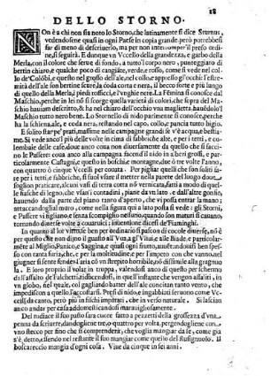 Dello Storno