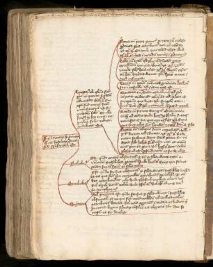 [Tabula de quatuor speciebus figurarum orationis]