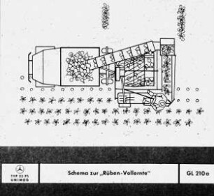 Schema zur "Rüben-Vollernte"