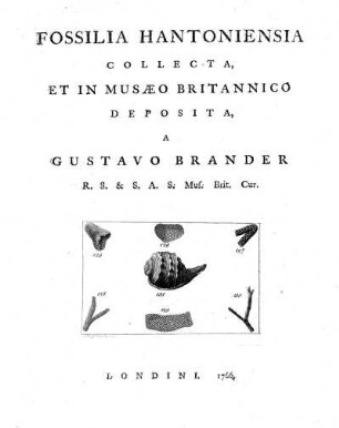 Fossilia Hantoniensia
