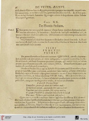 Cap. XX: De Plantis Pedum.