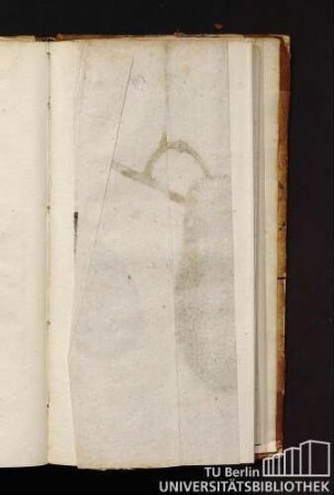 Taf. VII. B. St. Germain-Birne.