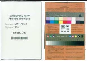 Entnazifizierung Otto Schulte , geb. 12.08.1893 (Kaufmann)