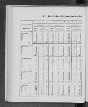 X. Zahl der Dienstboten in den Familien-Haushaltungen.