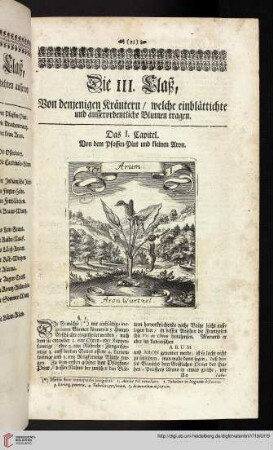 Die III. Claß