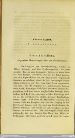 Fünftes Capitel. Sinnesorgane
