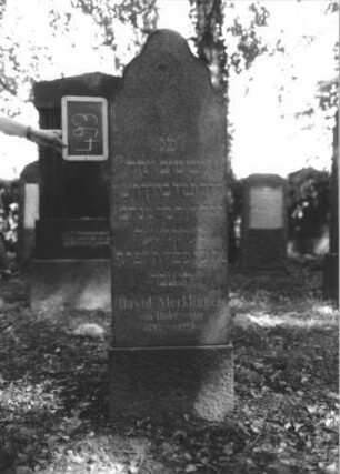 Grabstein 493 (Index: 100111631) Material: Granit Zustand: gut Maße HxBxT: 162x47x16 cm Beschreibung: Stele, Sockel, geschwungener Abschluß: Grabstein 493