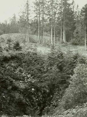 Greifensteingebiet im Westerzgebirge, Pinge und Halde der Grube Großer Röhrenbohrer nördlich der Felsen