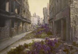 Dresden-Altstadt, Webergasse. Blick auf Ruinen und kolorierten Pflanzenbewuchs, rechts die Bärenschänke, Webergasse 27