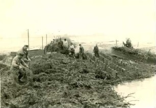 Deichbau Leybucht - Norden, Deutschland, 1928-1929, 1944-1950