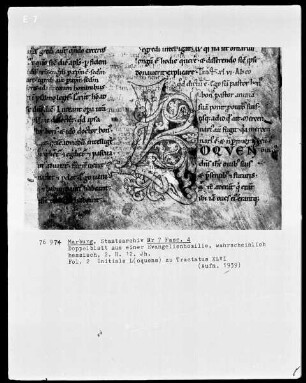Doppelblatt aus einer Evangelienhomilie, folio 2, Initiale L(oquens) zu Tractatus XLVI