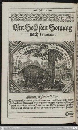 Am Sechsten Sonntag nach Trinitatis