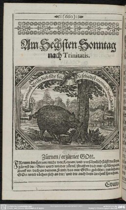Am Sechsten Sonntag nach Trinitatis
