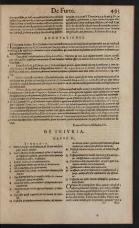 De Iniuria. Caput VI.