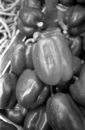 Paprika in der Reihe "Tips der Verbraucherberatung"