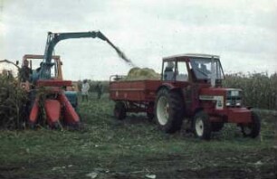 Fotografie: Erntetechnik, Silomais, Maishäcksler angebaut, Scheibenradfeldhäcksler, Parallelverfahren, Rückfahreinrichtung