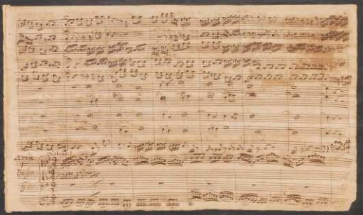 3. Aria (B): Gleichwie die wilden Meeres-Wellen