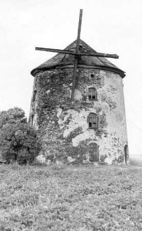 Lampertswalde-Adelsdorf. Turmholländer