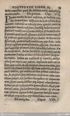 De palmis. Cap. VII.